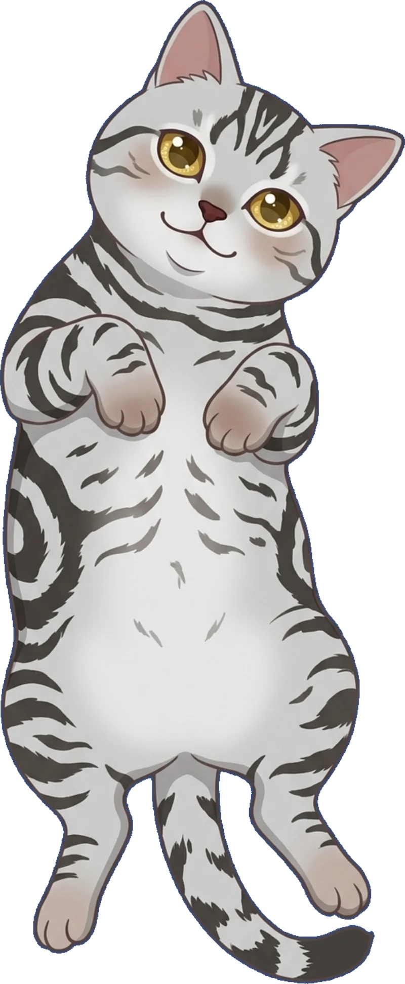 A cat waiting for your touch